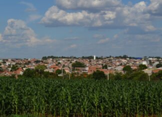 Os 40 anos do Jardim Amanda