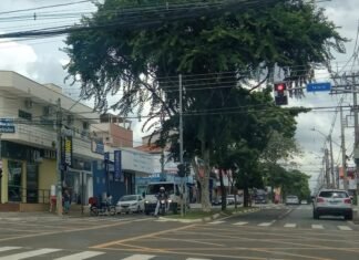 Dinamismo econômico, compre no bairro