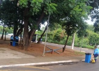 Entorno da lagoa do Jardim Amanda recebe mutirão de limpeza