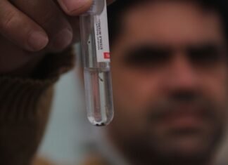 Vai viajar no carnaval? Então, mantenha o quintal limpo para evitar a Dengue