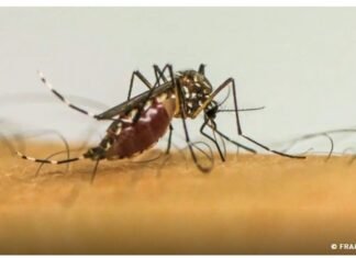 São Paulo decreta emergência em saúde pública por causa da dengue