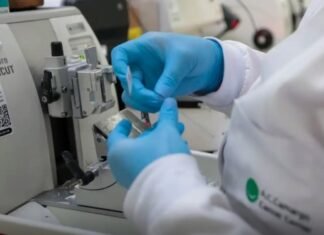 Cura de câncer de próstata pode chegar a até 98%